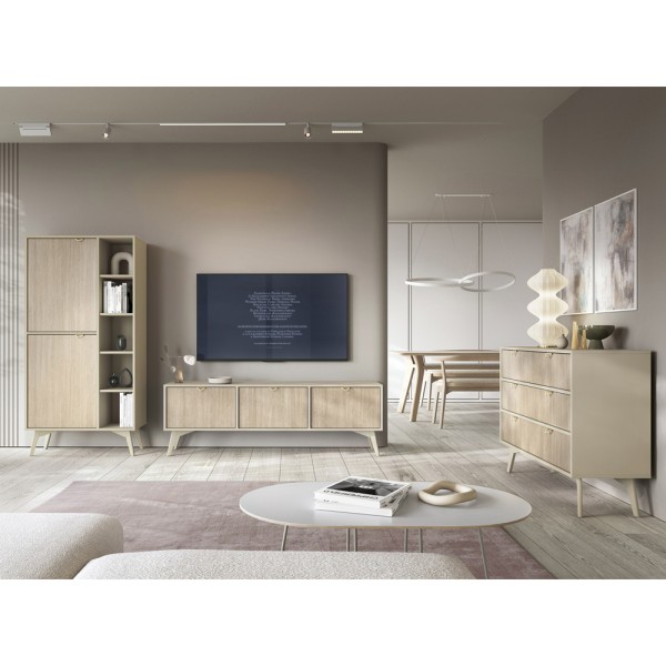 Стелаж із дверима та нішею Forest RG80 – для вашої вітальні