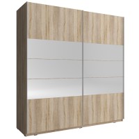 Шкаф-купе с зеркалом Mika I 200