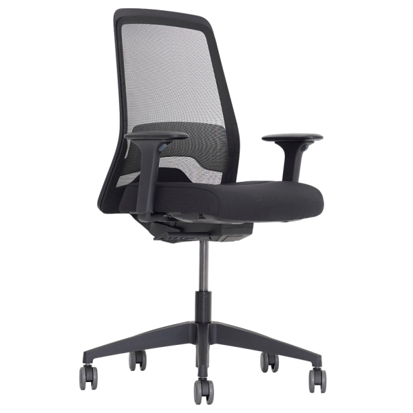 Крісло Interstuhl EVERYis1 EV256 – Сучасне офісне крісло з ортопедичною підтримкою