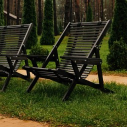 Крісло-шезлонг Chair Wood