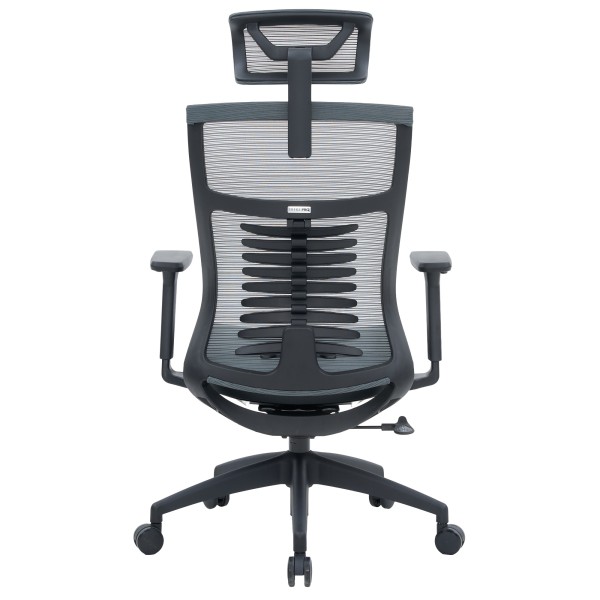 Крісло офісне Officepro Balance OC550-B-DG-DG – Купити в Elite Mebel