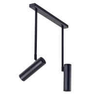 Светильник потолочный (спот) Pelikan С180-2