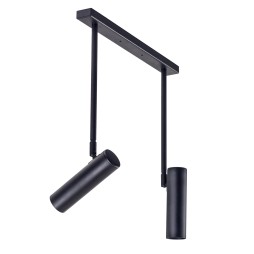 Світильник стельовий (спот) Pelikan С180-2