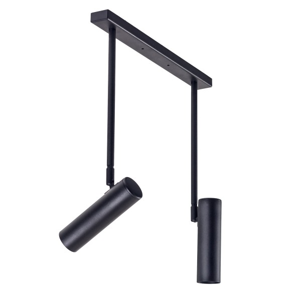 Світильник стельовий (спот) Pelikan С180-2