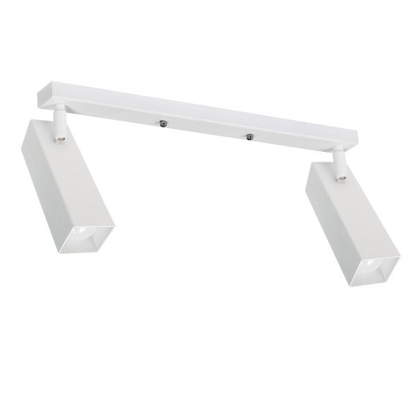 Світильник стельовий Pelikan Q L180-2 – для вашого дому