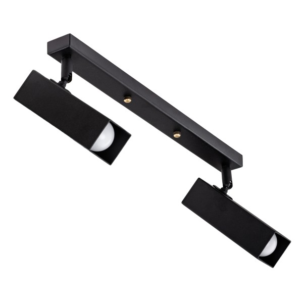 Світильник стельовий Pelikan Q L180-2 – для вашого дому