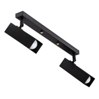 Світильник стельовий (спот) Pelikan Q L180-2