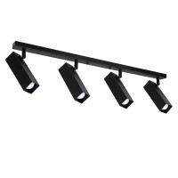 Світильник стельовий (спот) Pelikan Q L180-4