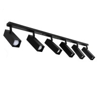 Світильник стельовий (спот) Pelikan Q L180-6