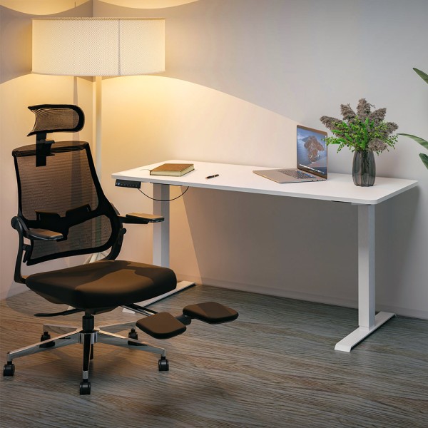 Стіл з електрорегулюванням висоти PowerDesk Duo