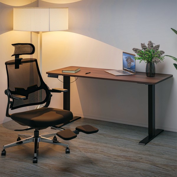 Стіл з електрорегулюванням висоти PowerDesk Duo