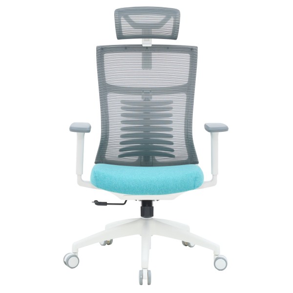 Крісло офісне Officepro Balance OC550-W-DG-BL