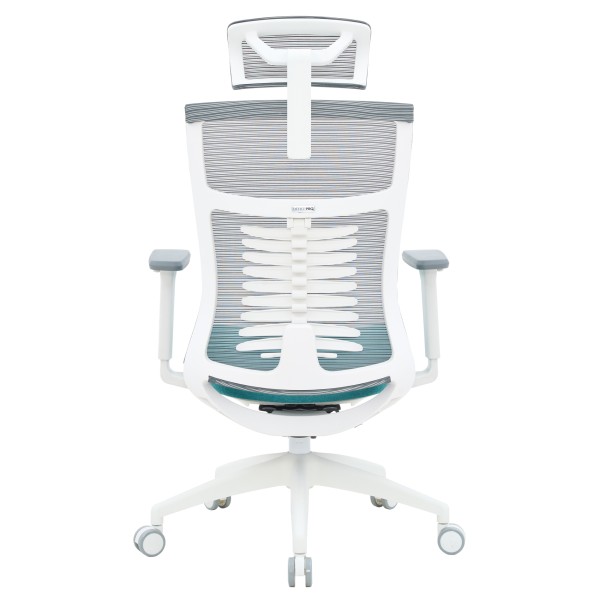 Крісло офісне Officepro Balance OC550-W-DG-BL