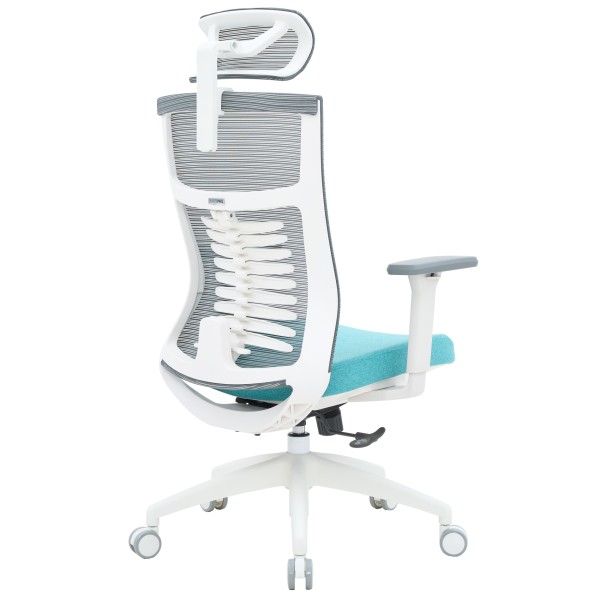 Крісло офісне Officepro Balance OC550-W-DG-BL