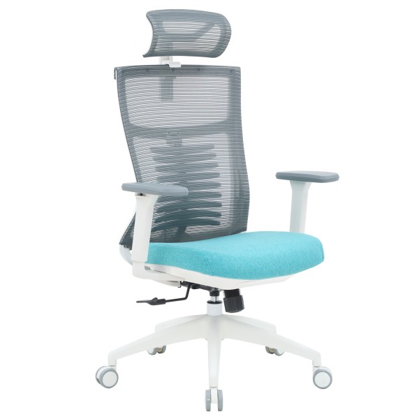 Крісло офісне Officepro Balance OC550-W-DG-BL