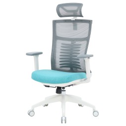 Крісло офісне Officepro Balance OC550-W-DG-BL