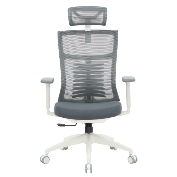 Крісло офісне Officepro Balance OC550-W-DG-DG