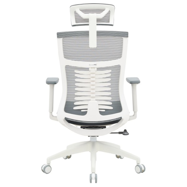 Крісло офісне Officepro Balance OC550-W-DG-DG