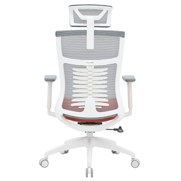 Офісне крісло Officepro Balance OC550-W-DG-OR – Купити з доставкою по Україні