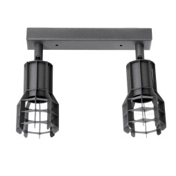 Світильник стельовий Spoty C L80-2