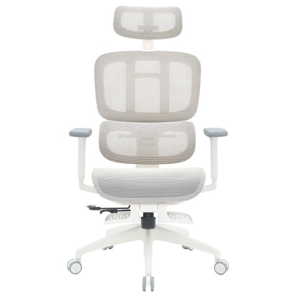 Крісло офісне Officepro Skyline Footrest OC750-W-LG-LG