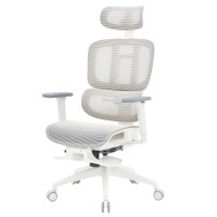 Крісло офісне Officepro Skyline Footrest OC750-W-LG-LG