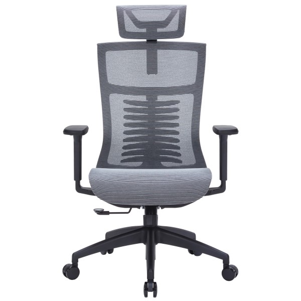 Офісне крісло Officepro Balance OC620-B-DG-DG