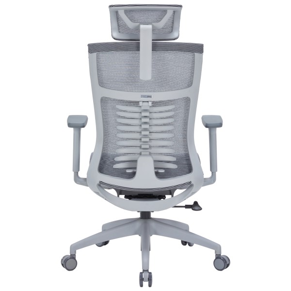 Крісло офісне Officepro Balance OC620-G-DG-DG