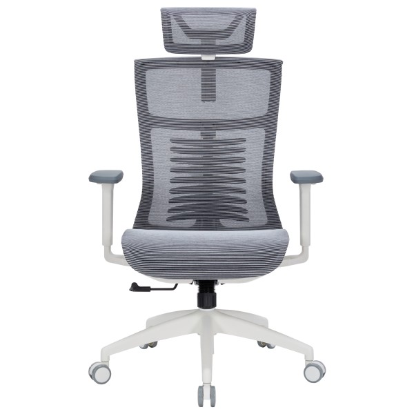 Крісло офісне Officepro Balance OC620-W-DG-DG