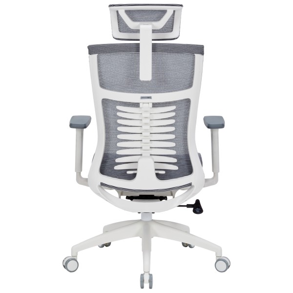 Крісло офісне Officepro Balance OC620-W-DG-DG