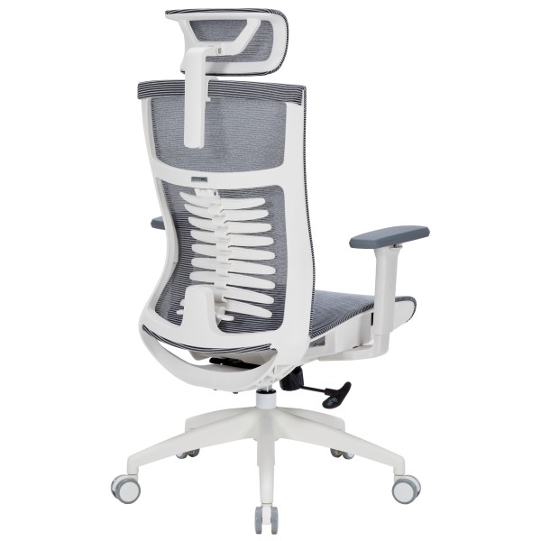 Крісло офісне Officepro Balance OC620-W-DG-DG