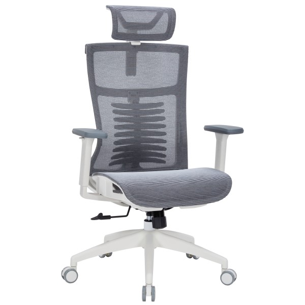 Крісло офісне Officepro Balance OC620-W-DG-DG