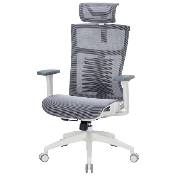 Крісло офісне Officepro Balance OC620-W-DG-DG