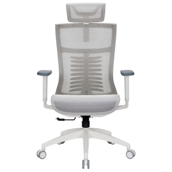 Офісне крісло Officepro Balance OC620-W-LG-LG