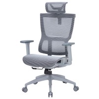 Крісло офісне Officepro Elegant OC660-G-DG-DG