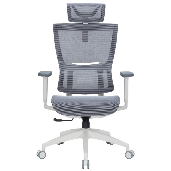 Офісне крісло Officepro Elegant OC660-W-DG-DG з сіткою та підголівником