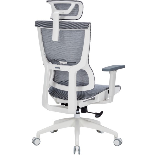 Офісне крісло Officepro Elegant OC660-W-DG-DG з сіткою та підголівником