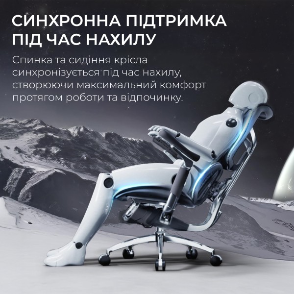 Крісло офісне Sihoo DORO S300 Mesh Dark Grey