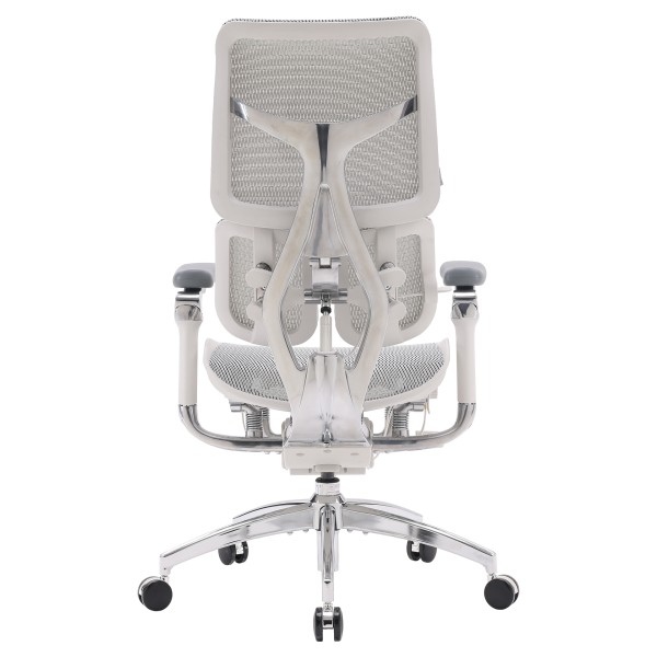 Крісло офісне Sihoo DORO S300 Mesh Light Grey