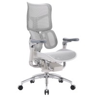 Крісло офісне Sihoo DORO S300 Mesh Light Grey