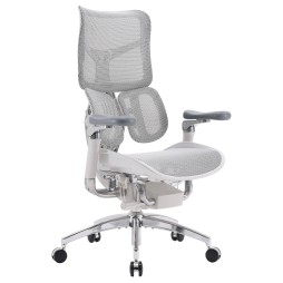 Крісло офісне Sihoo DORO S300 Mesh Light Grey