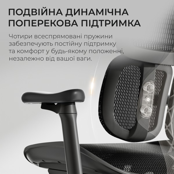Крісло офісне Sihoo DORO S100 Mesh Black — комфорт для вашого офісу