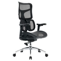 Крісло офісне Sihoo DORO S100 Mesh Black