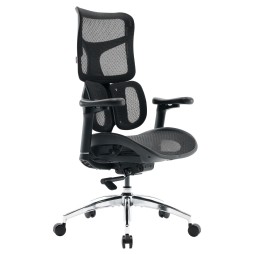Крісло офісне Sihoo DORO S100 Mesh Black