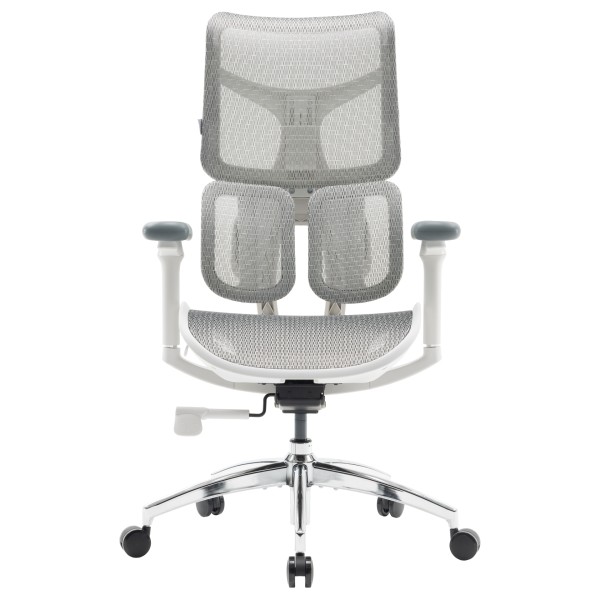 Крісло офісне Sihoo DORO S100 Mesh White