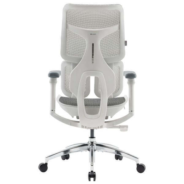 Крісло офісне Sihoo DORO S100 Mesh White