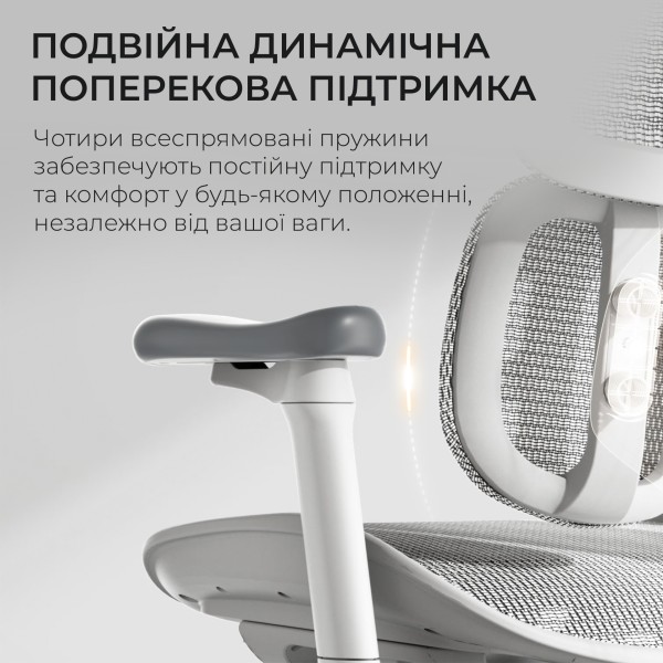 Крісло офісне Sihoo DORO S100 Mesh White