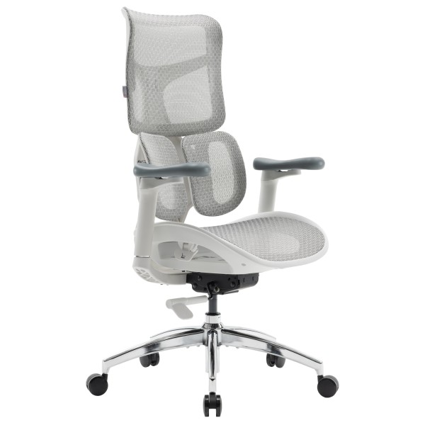 Крісло офісне Sihoo DORO S100 Mesh White