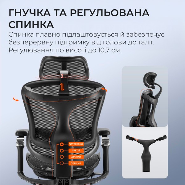 Крісло офісне Sihoo DORO C300 Pro Mesh Black