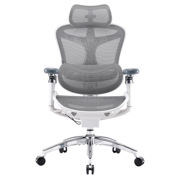 Офісне крісло Sihoo DORO C300 Pro Mesh White